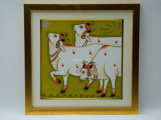 Pichwai Cows 13x13