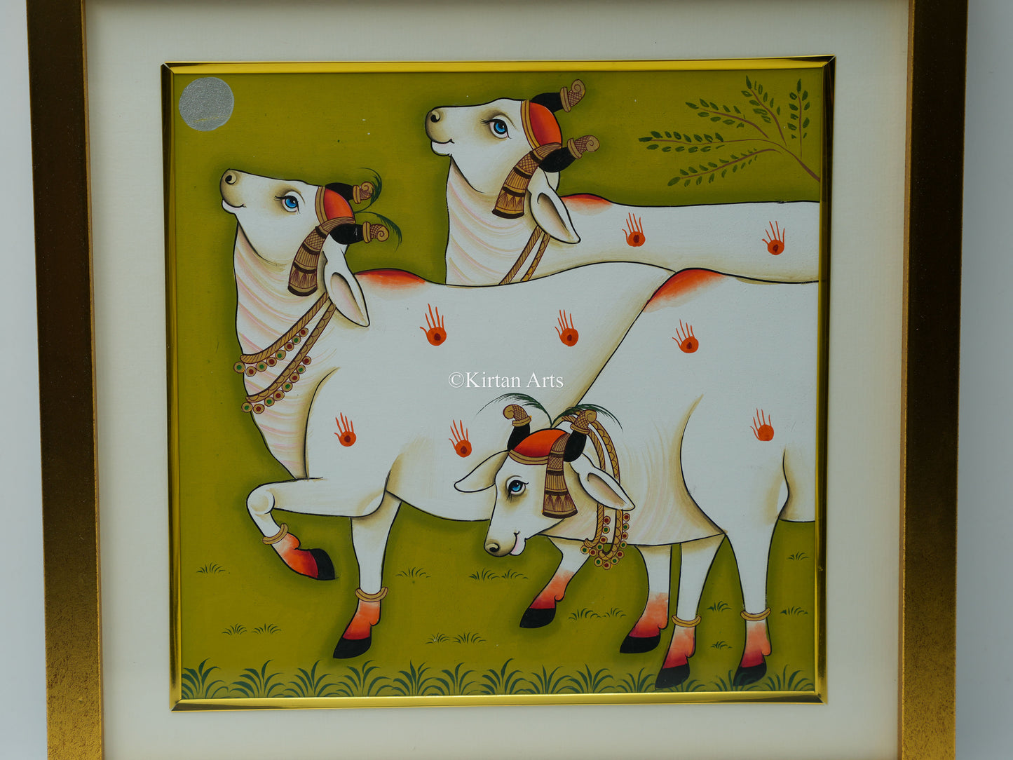 Pichwai Cows 13x13
