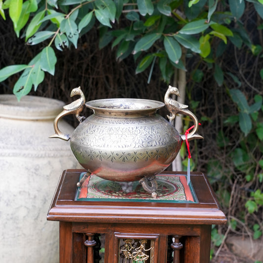 Vintage-Style Brass Planter with Bird Handles 8"